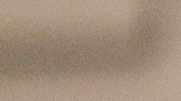 Tomás Boy asumió como técnico de las Chivas del Guadalajara