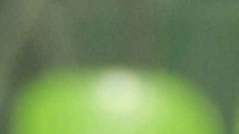 José Juan Macías destacó en el cuadro de honor con un doblete ante Chivas.