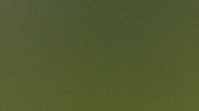 Héctor Moreno se negó a volver a México para jugar con Chivas.