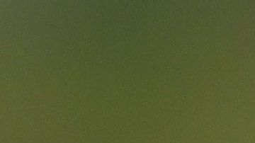 Héctor Moreno se negó a volver a México para jugar con Chivas.