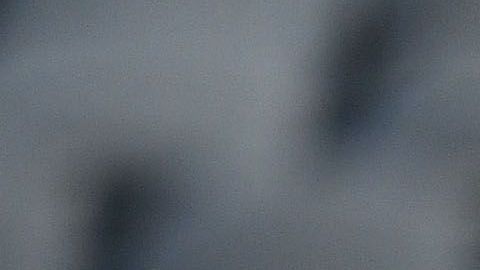 Memo Ochoa se hace el occiso, pero el América le ofrece cada vez más cosas para traerlo de regreso al nido.