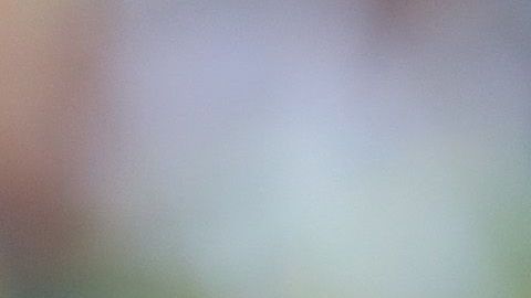 Agustín Marchesín tuvo una actuación destacada en su debut en Portugal.