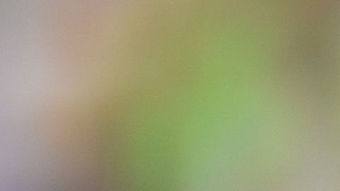 Bravos logra su primera victoria en la Liga MX frente a Toluca