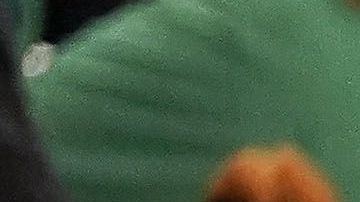 La afición americanista habría lanzado agua y otros objetos al 'Tuca'