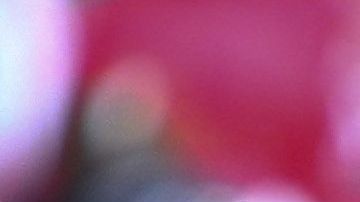 El ‘Bigotón’ respira, por fin gana Toluca