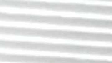 Sandy Close (i) y Gabriel Lerner participan en el evento. / Virginia Gaglianone