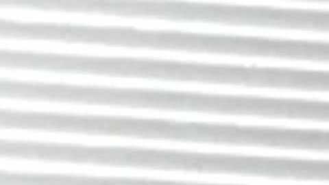 Sandy Close (i) y Gabriel Lerner participan en el evento. / Virginia Gaglianone