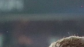 Ni el Chelsea ni el propio futbolista se dio cuenta del fallo