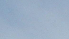 Árboles de Joshua, un símbolo de los desiertos estadounidenses.