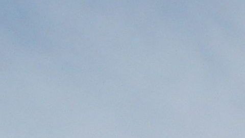 Árboles de Joshua, un símbolo de los desiertos estadounidenses.