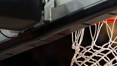 Su talento los ha hecho ganar millones y millones de dólares.