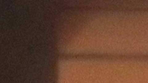 Colin Kaepernick ha estado entrenando y se dice listo por si algún equipo quiere contratarlo.