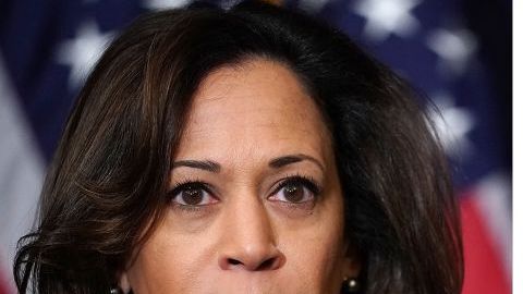 Harris criticó la estrategia de la administración Trump y de DHS.