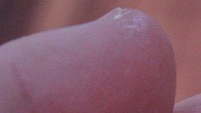 Los suplementos no son tan buenos como dice su marketing.