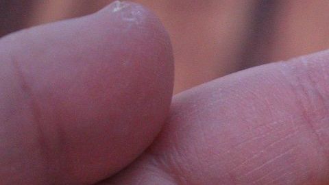 Los suplementos no son tan buenos como dice su marketing.