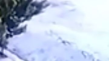 el ladrón no esperaba que su víctima estuviera armada y dispuesta a disparar.