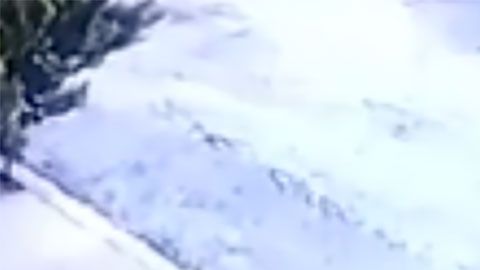 el ladrón no esperaba que su víctima estuviera armada y dispuesta a disparar.