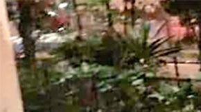 En el interior del coche se encontraron envases de bebidas alcohólicas.