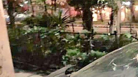 En el interior del coche se encontraron envases de bebidas alcohólicas.