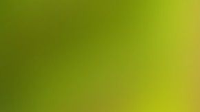 Ella es la modelo que se robó el corazón del crack brasileño