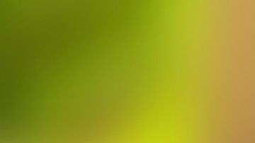 Ella es la modelo que se robó el corazón del crack brasileño