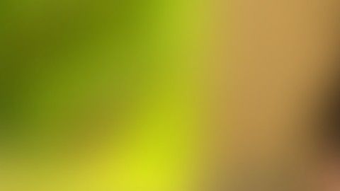 Ella es la modelo que se robó el corazón del crack brasileño