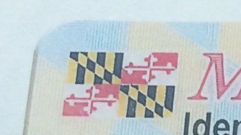 Ejemplo de licencia de Maryland.