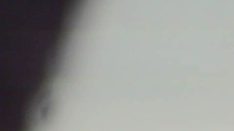 Luis Pérez en sus épocas como jugador de los LA Rams.