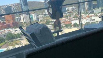 Estudiante mexicana cae por un balcón al hacer yoga.