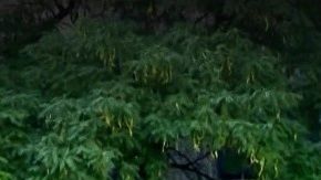 Centro Correccional Metropolitano, Bajo Manhattan