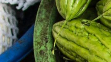 megan-hodges-xMh_ww8HN_Q-unsplash