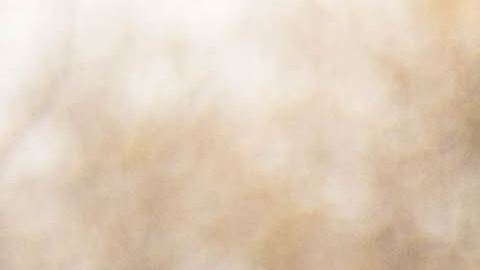 No todos los casos de vientre de alquiler son positivos.