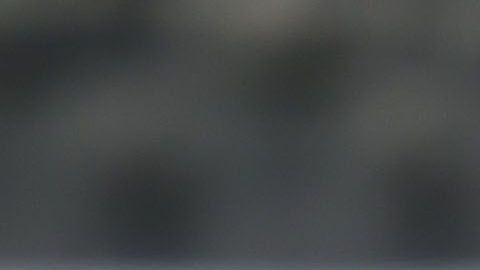 La Selección Mexicana Sub 17 paarticipará en el Mundial de la especialidad en Brasil en Octubre de este año.