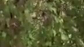 Agresión contra militares.