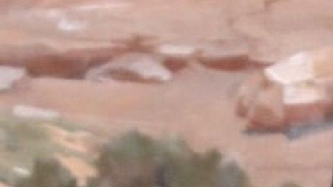 El del senador fue el único voto en contra.