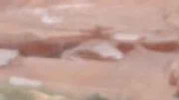 El del senador fue el único voto en contra.