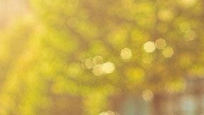 Descuidar tu ahorro para el retiro podría ser un error garrafal.