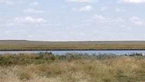 Aves heridas y muertas por tormenta de granizo.