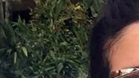 La familia está ofreciendo una recompensa por atrapar al asesino, que sería de poco más de $20,000 dólares.