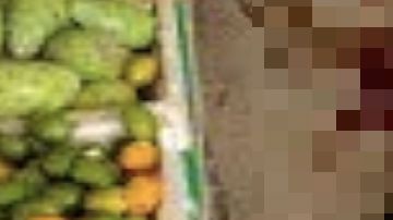 Narcotraficantes no respetan ni a los abuelitos, así les quitaron la vida a dos