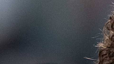 Guillermo Ochoa, nuevo refuerzo, pero viejo conocido del equipo americanista.