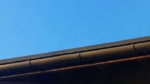 La empresa negó haber donado a la campaña del presidente Trump.