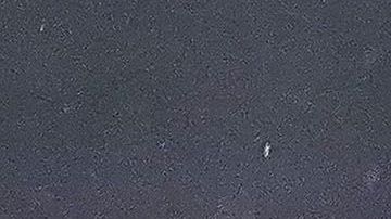 El arquero americanista Óscar Jiménez vio los únicos minutos en Liga con las Águilas, el sábado pasado.