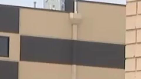 Pallone habló con varios detenidos.