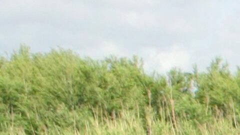 La niña fue trasladada a un hospital infantil de Corpus Christi, Texas.