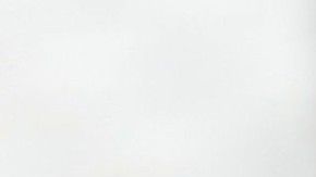 Los Spurs eliminaron al City de la Champions en cuartos de final de la temporada pasada