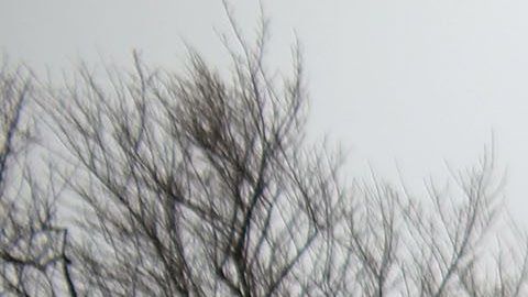 Las autoridades cerraron temporalmente la Ruta 25