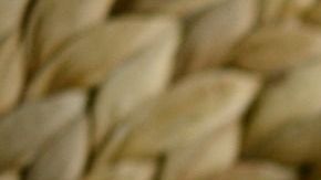 pumpkin-soup-2972858_1280