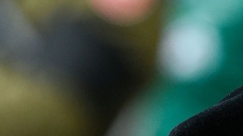 La Reina de Dinamarca, Margrethe II, no se ha pronunciado independientemente sobre la reacción de Trump.