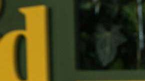 Salma Hayek luce radiante.